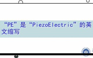 pe是什么意思(pe是什么意思的缩写)