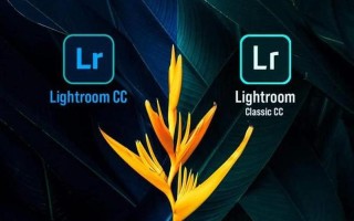 lightroom预设(Lightroom预设导入)