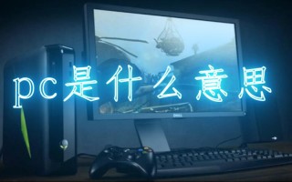 pc是什么意思(pc是什么意思医学)