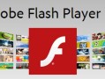 flash player是什么(flash player是什么？)